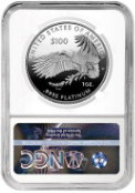 2025 Platinum American Eagle Proof 70 Coin - Image 3
