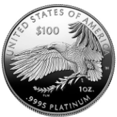 2025 Platinum American Eagle Proof 70 Coin - Image 5